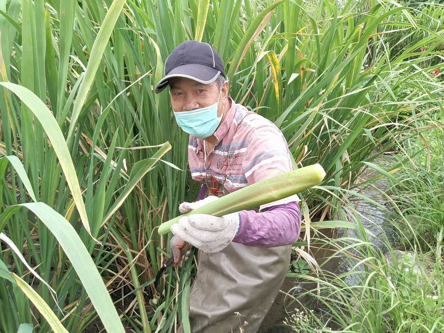 益棧 -【小棧週報】110-11-07
