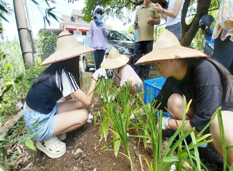 學子課後服務-「食農教育-環酵與農耕」113-06-26